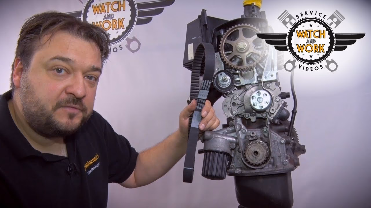 ¿Cuándo hay que hacer el cambio de correa de distribución?