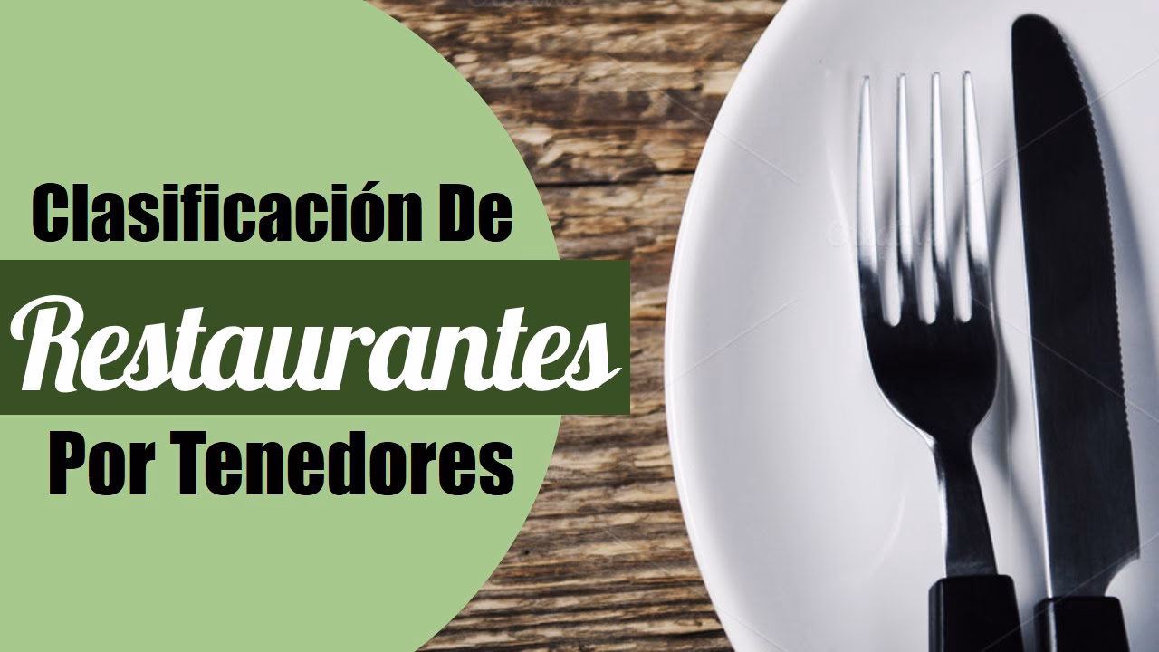 ¿Qué categoría es un tenedor?