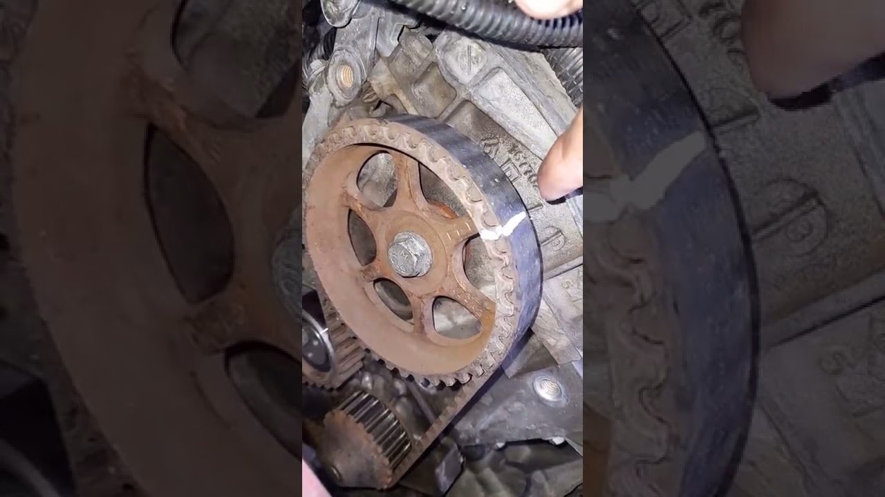 ¿Cuándo se debe cambiar la correa de repartición?