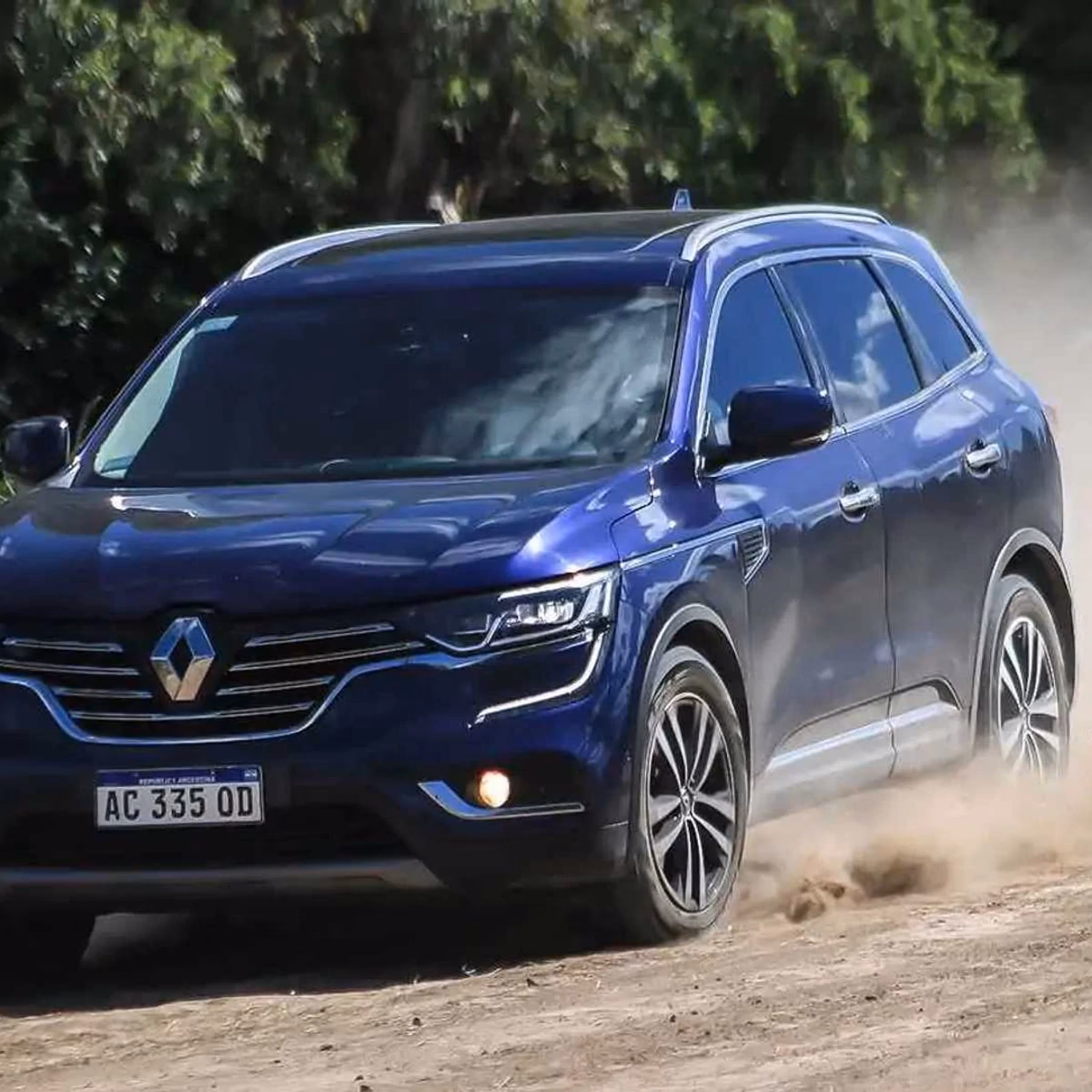 ¿Qué tamaño tiene el tronco del Koleos?