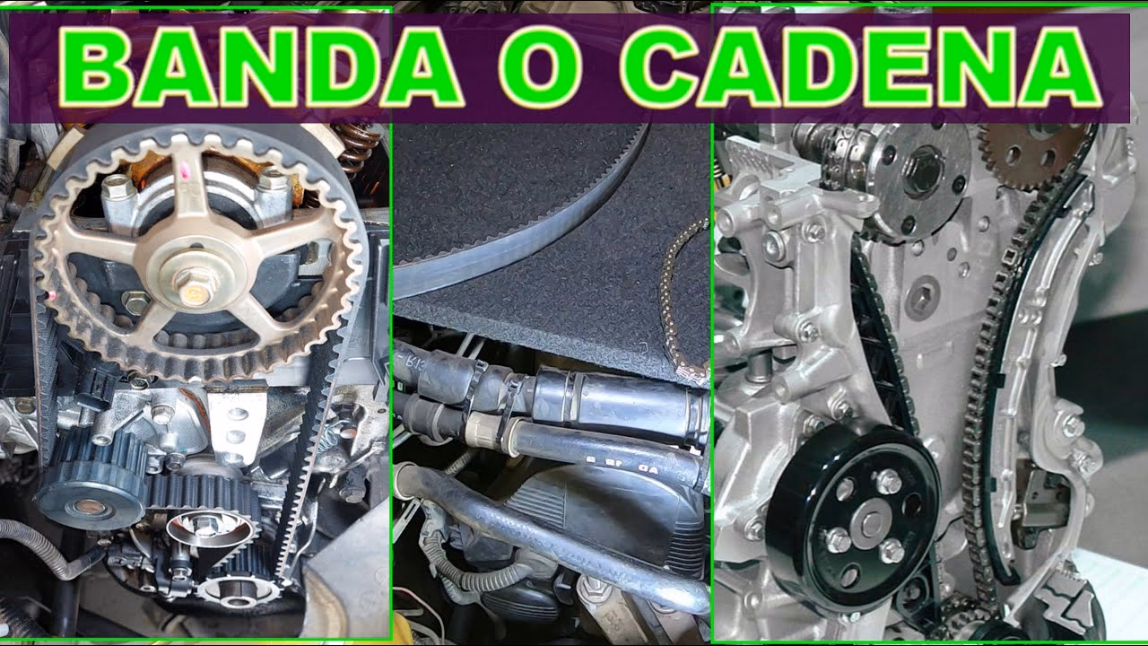 ¿Qué Renault trae cadena de distribución?