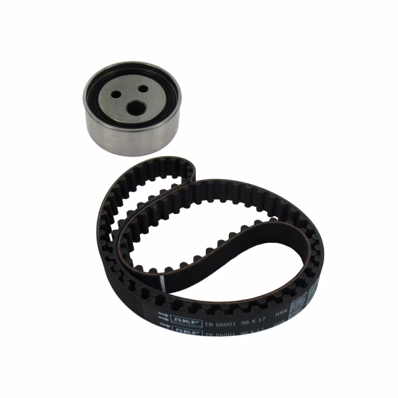 ¿Qué Renault viene con cadena de distribución?