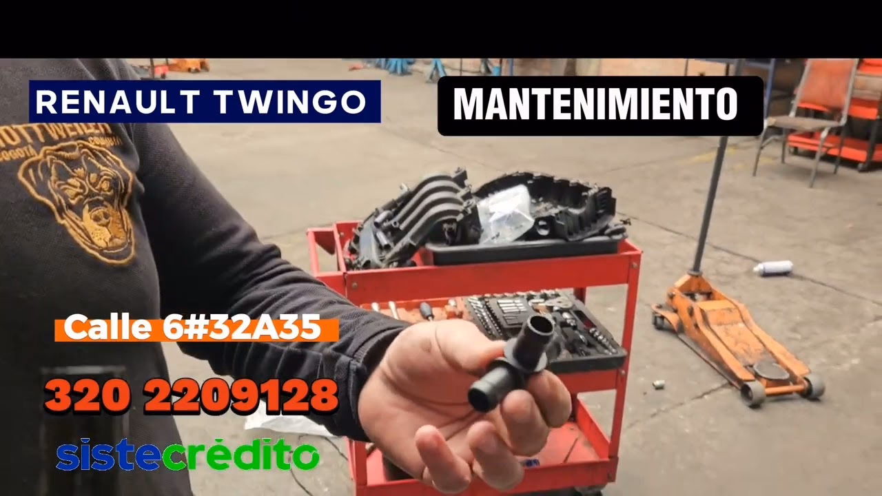 ¿El Renault Twingo tiene correa o cadena de distribución?