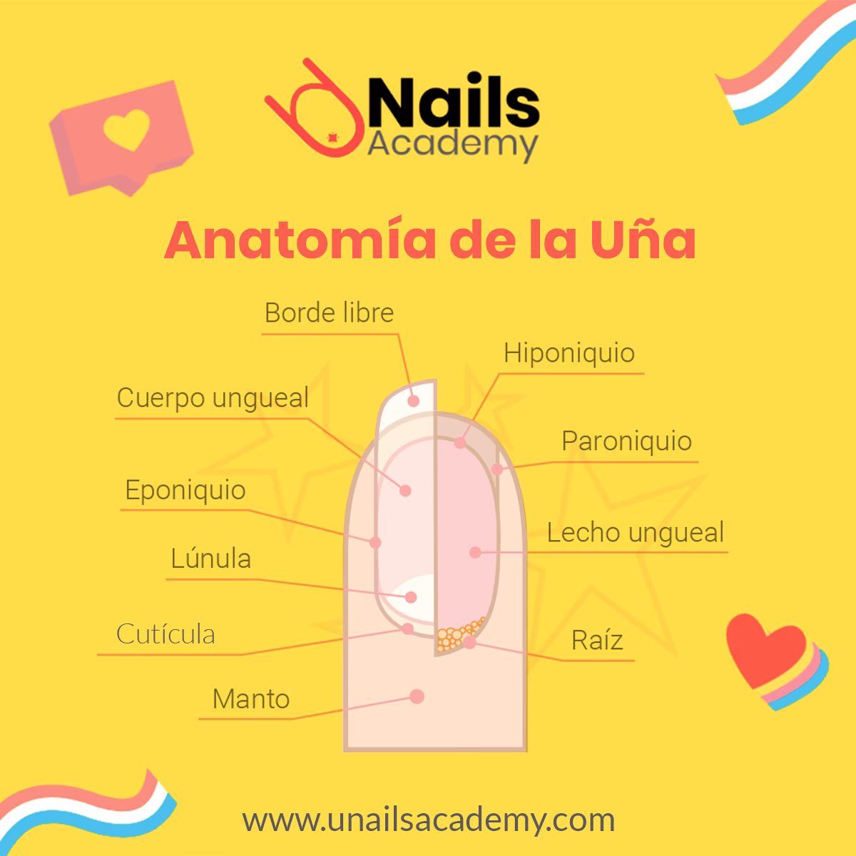 ¿Qué es el manto de Renault?