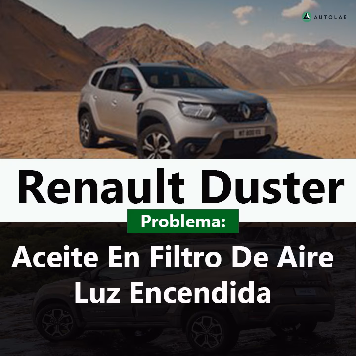 ¿Qué sucede si sale aceite por el filtro de aire?