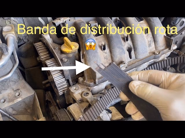 ¿Cuánto cuesta la reparación de la correa de distribución?